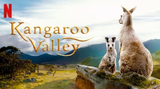 Kangaroo-Valley-2022-NF-WEBRi-P-DD5-1-x264-Hu-N.jpg
