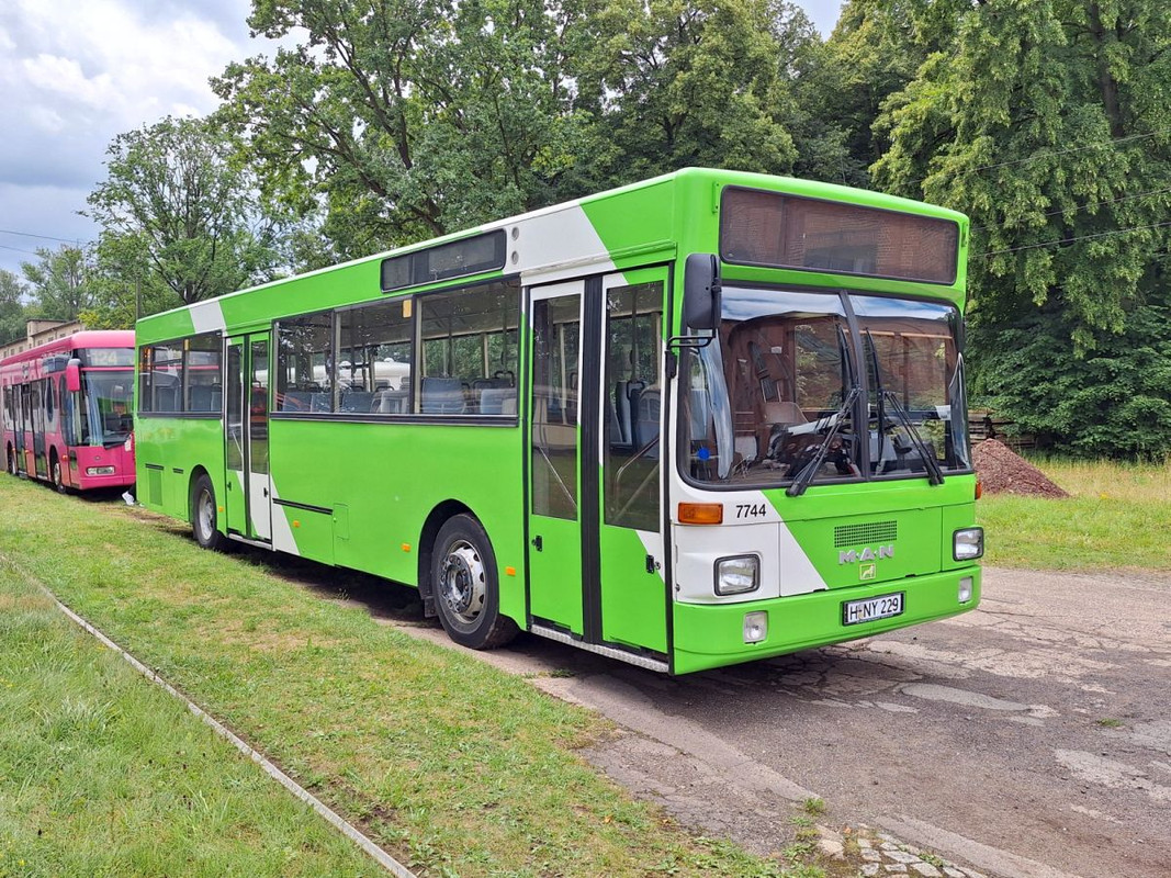 https://i.postimg.cc/fbXPk26z/dso13-7744-Wehmingen-130725.jpg