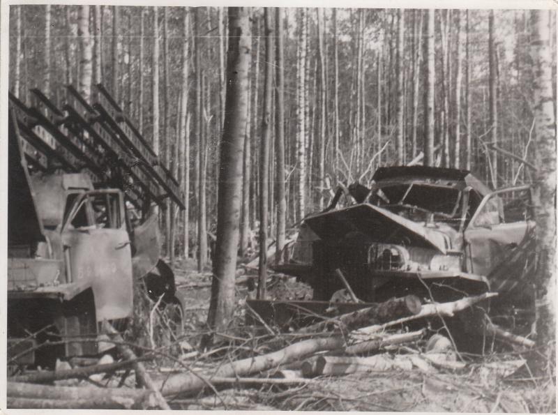 CgSn6tQMeWmG137952514083P5475