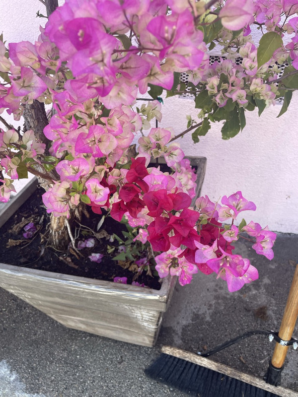 AE98FD88-45FE-481E-98CD-B47208695ABE_1_105_c