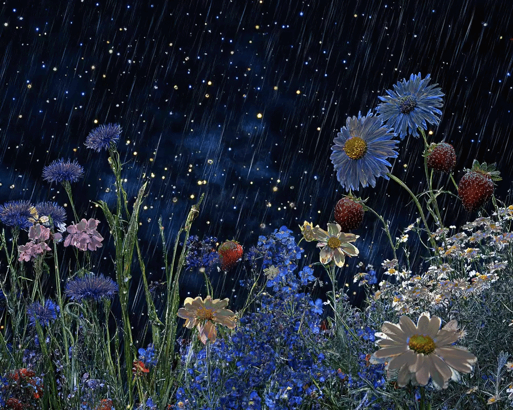 c770cda9fd81a0ccbe68b9f4b0e9acd7fb0bc2ac