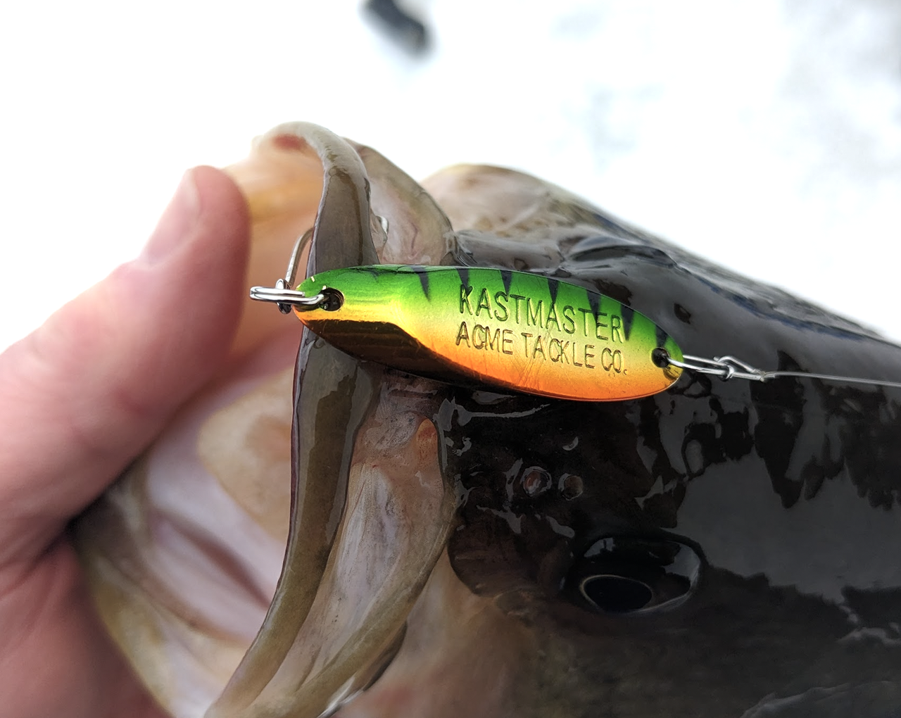 Screenshot 2026 02 14 at 7 14 21 PM