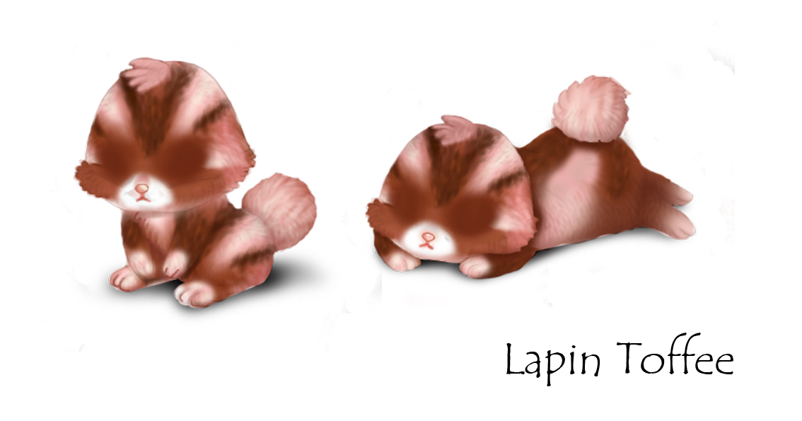 https://i.postimg.cc/fbXrQC6w/lapin-toffee.jpg