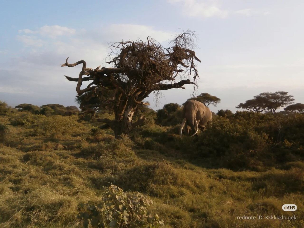 photo 16 2025 12 27 21 17 36