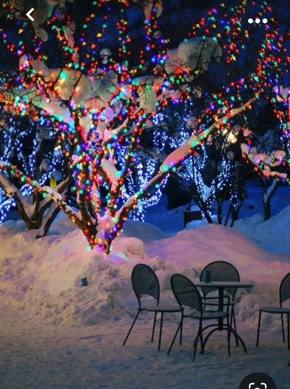 Screenshot_20231023_215342_Pinterest