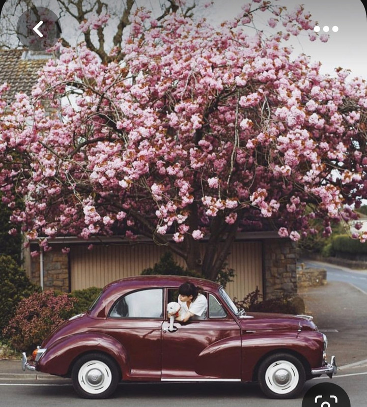 Screenshot_20230614_004213_Pinterest