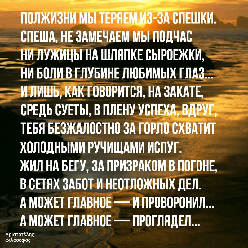 Полжизни мы теряем из-за спешки