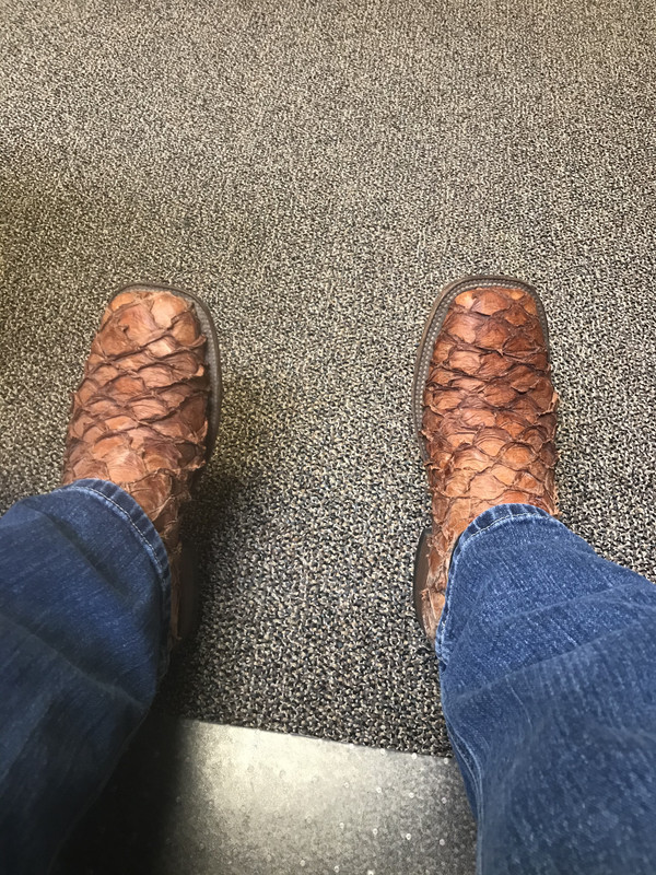 B9F08D62-3B0E-4263-A77C-A4ADEEA0A7BF