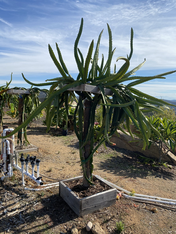 955E1C5B-8EAB-4F7A-A941-8E5DE25BDC1A