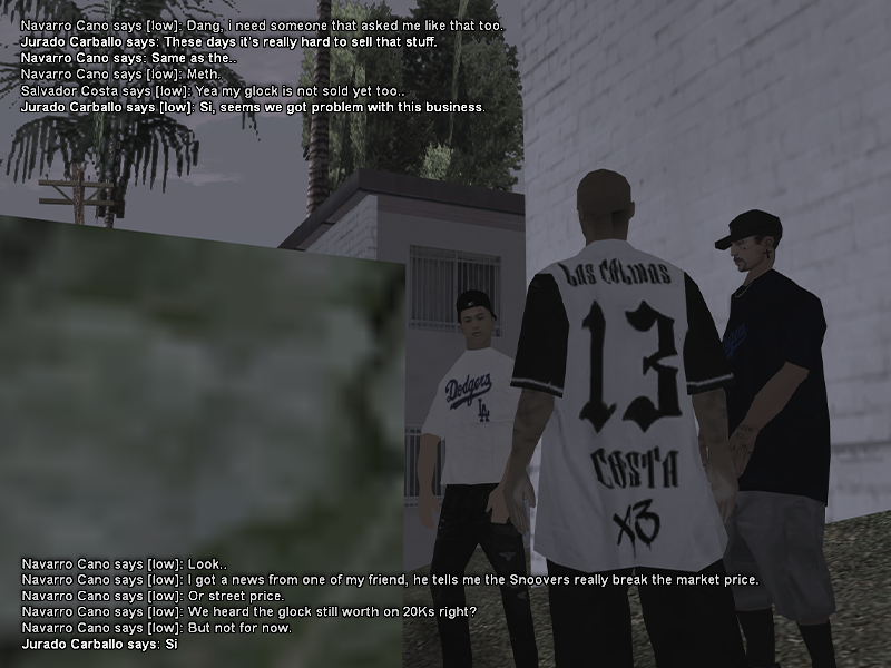 SS3.png