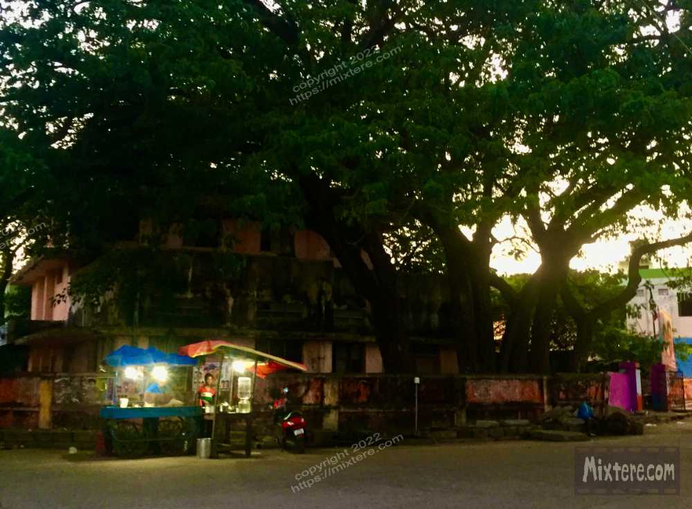 BBG&B29Pondicherry - 18