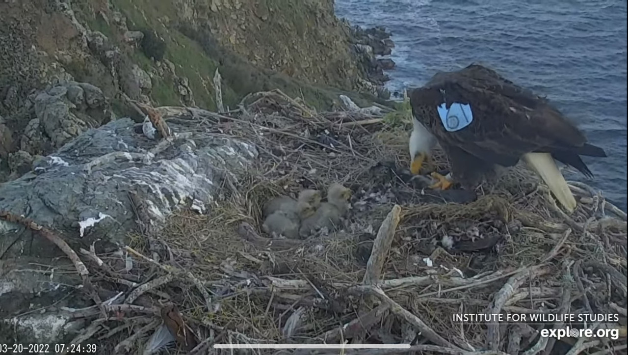 629F2F1E-835C-4AB2-8F72-39B7284BF66F