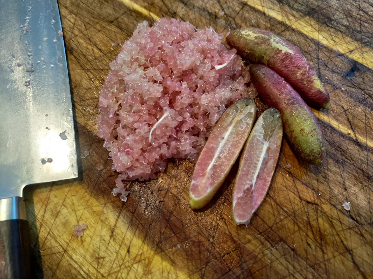 P_20260207_113115.jpg