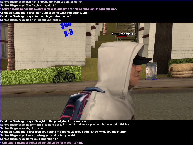 SS2.png