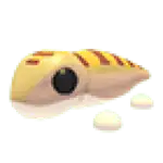 Sandfish