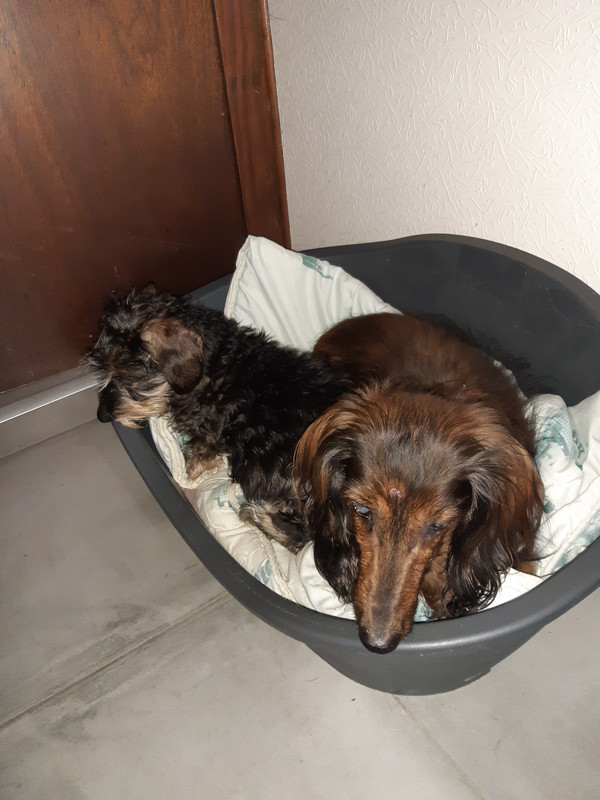 [Image: 20210105-101854.jpg]