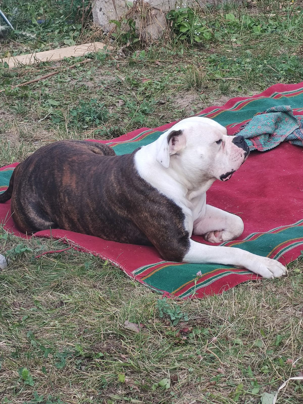 E939334A-7A0E-4D84-8B19-B3407B40576C