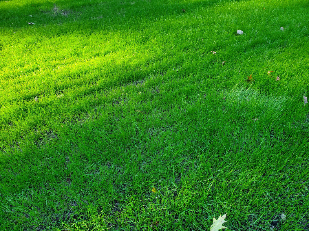 F8031595-07B5-47E1-B795-5193EE12C468