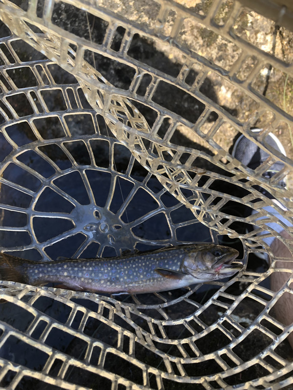 0516BD93-1CE4-40F2-8776-1B9B156C8A3A