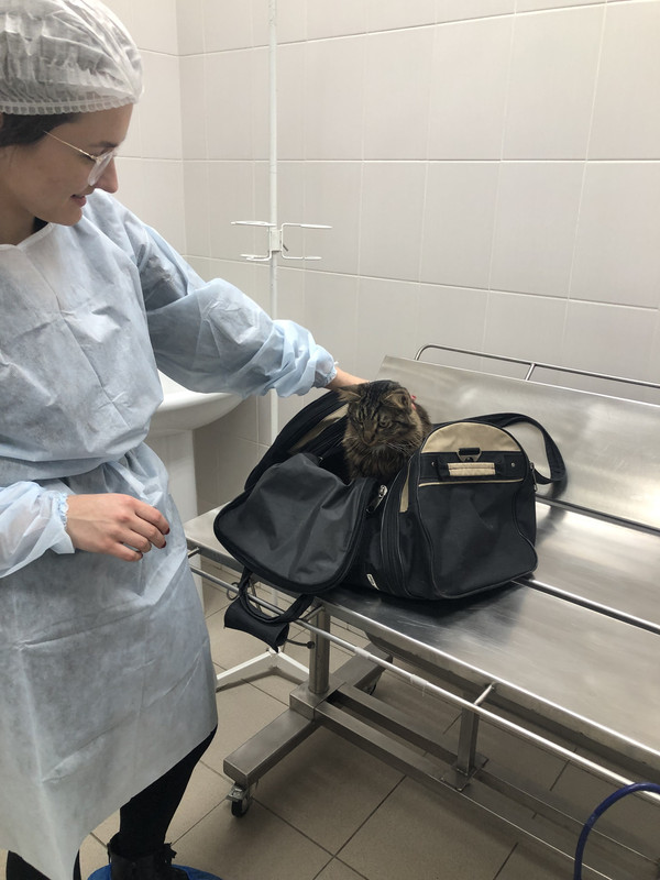 F5EFFE79-87C1-4649-92D0-06D6F3E81B64