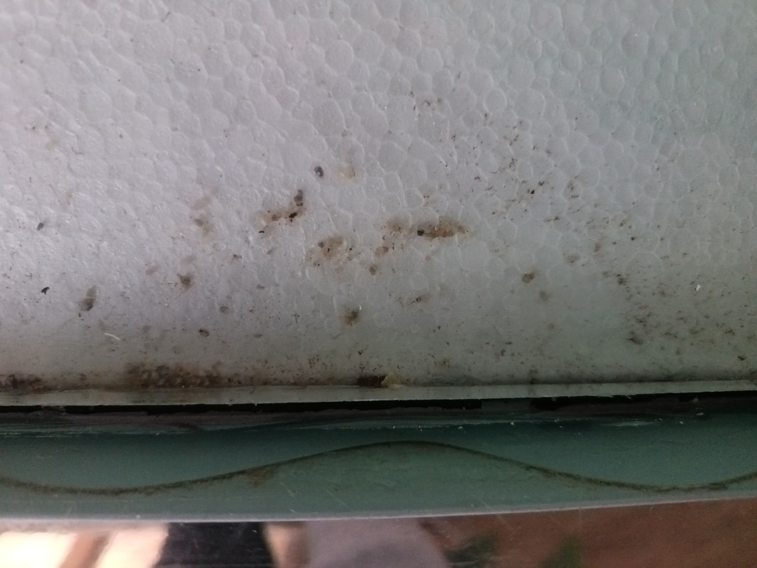 17390320151075446927771559382656