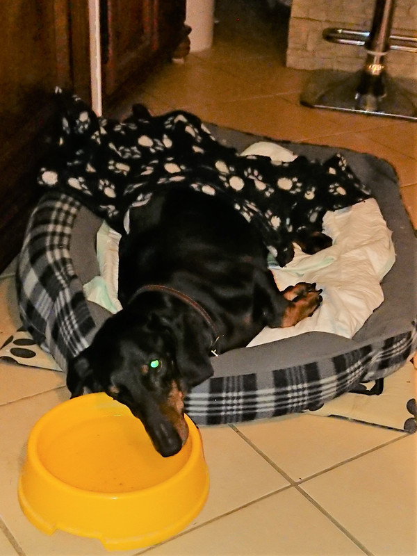 [Image: DSC-1083.jpg]