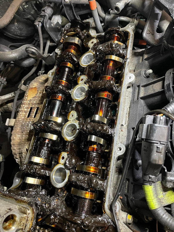 258526172_10158615213216909_4381757469799594221_n