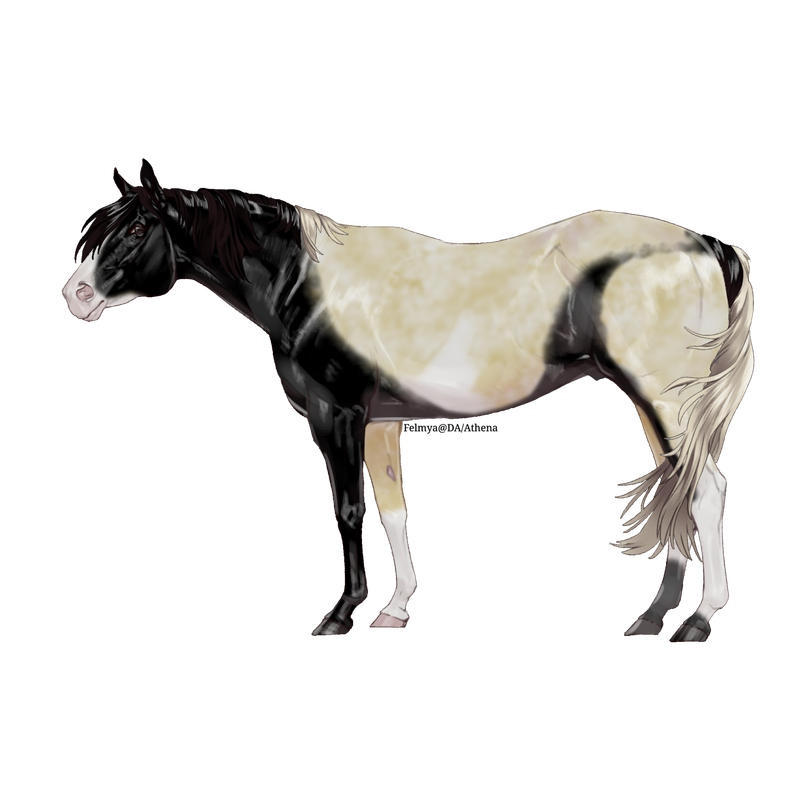 Twisted-Shadow.png