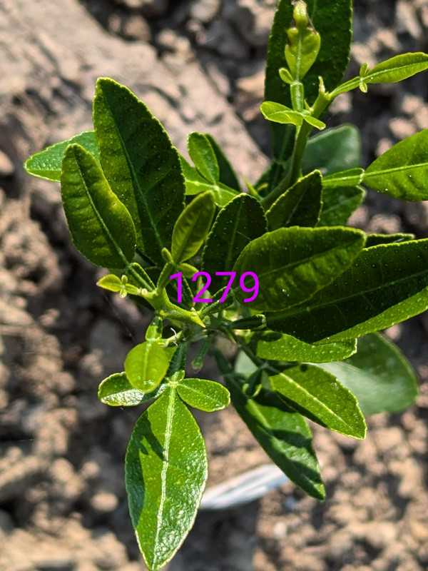 PXL_20240618_124821062~2