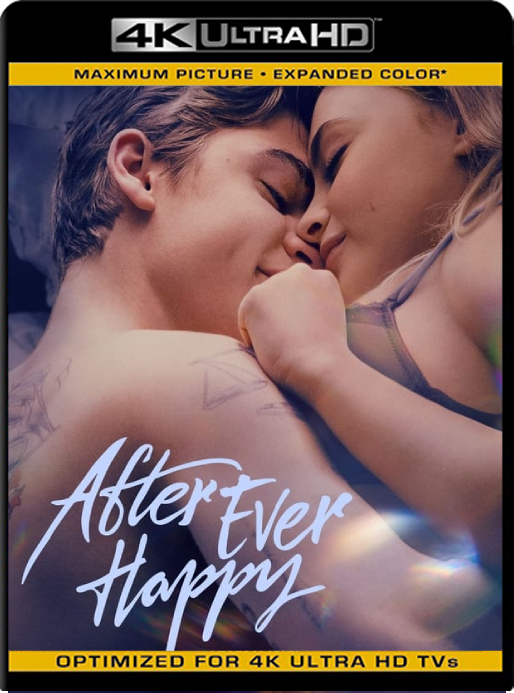 After: Amor Infinito (2022) WEB-DL [4K SDR] Latino [GoogleDrive]