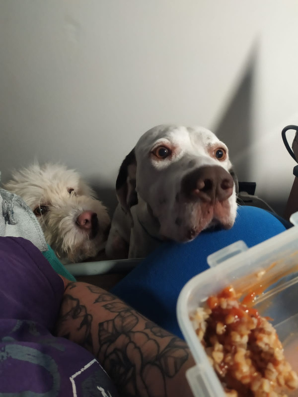 3A99EA1B-65DC-4E41-AFA5-34096F86FA2A