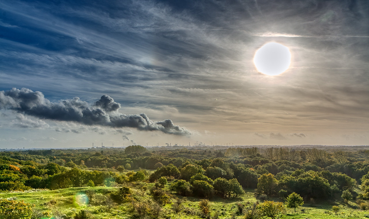 IMAGE: https://i.postimg.cc/fbbWphR3/IMG-2395-Dx-O-copy.jpg