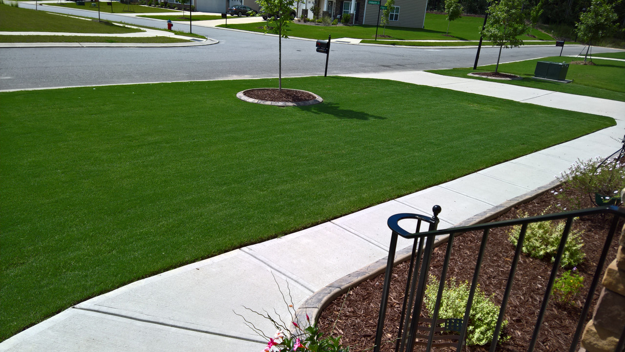 WP_20160709_15_37_12_Rich