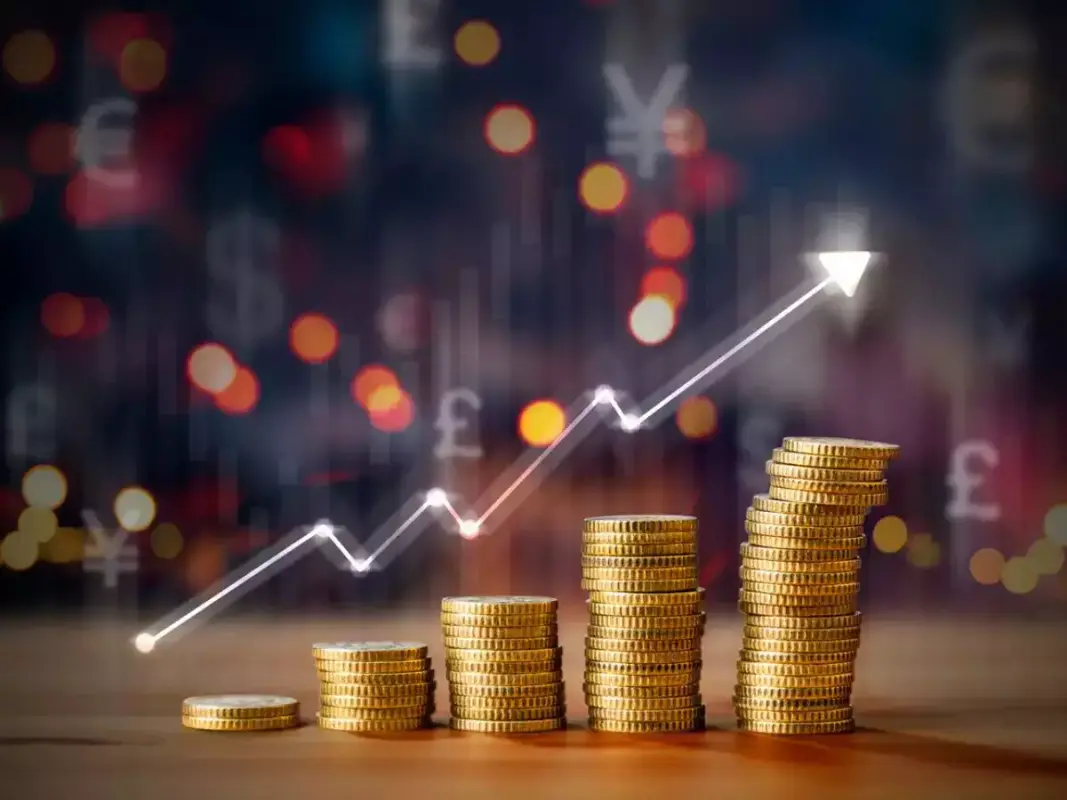 Comprehending Consumption Funds