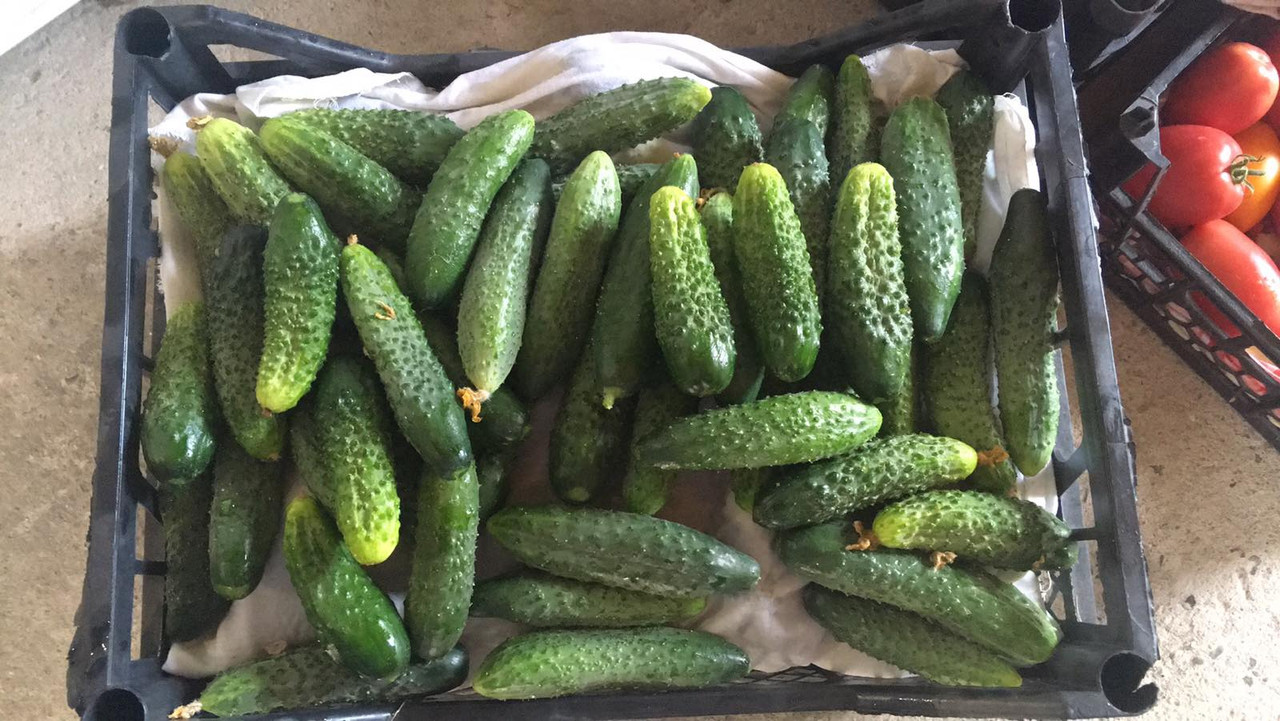 4BB767CB-283D-404D-B4EB-C5F7E4095817