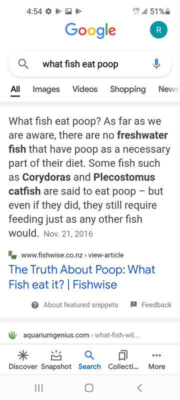 Screenshot_20210317-165441_Google