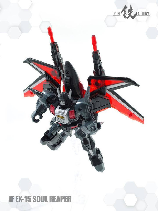 13254457_1020442191375523_1228761934805736130_n