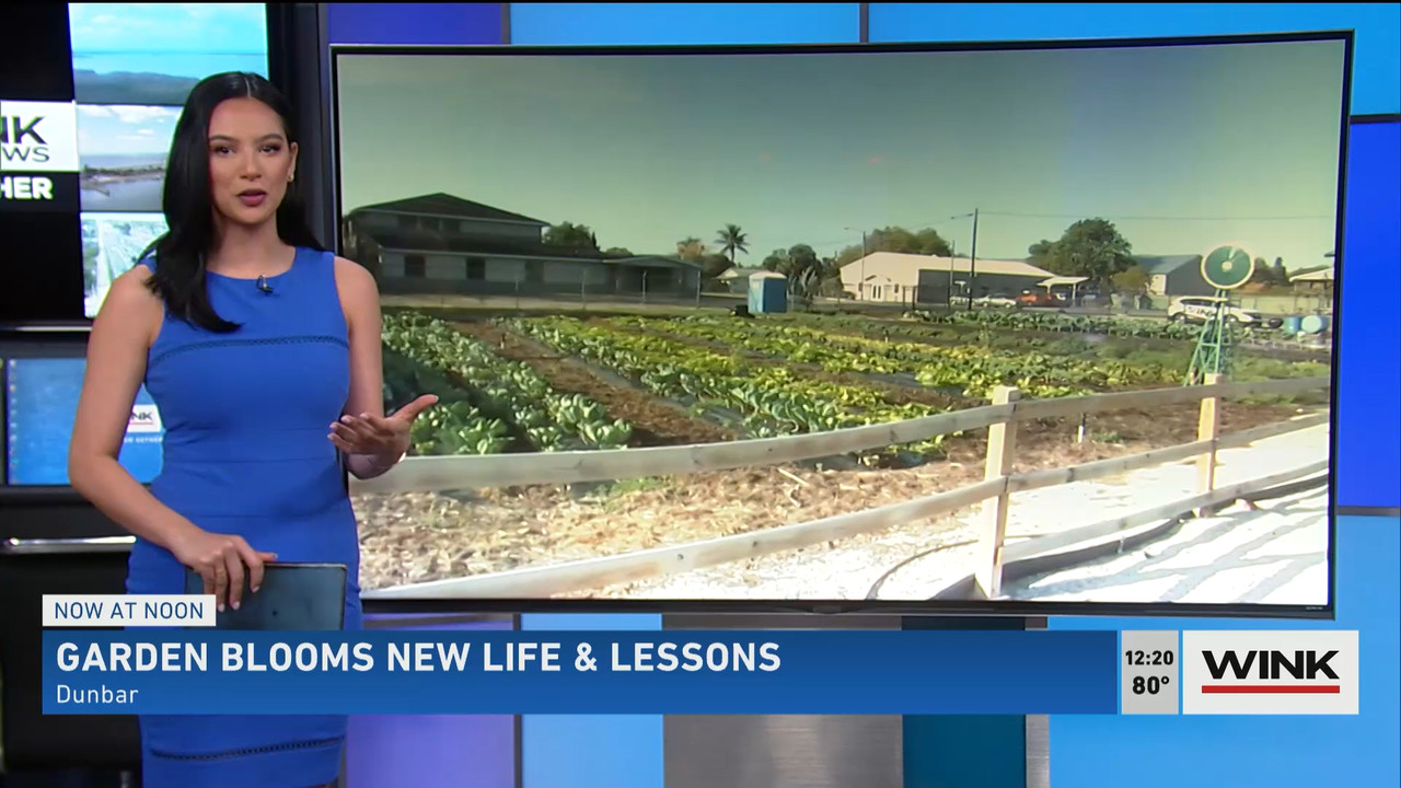 The WINK Noon News 2022_03_15_16_00_00.ts_snapshot_26.46.644