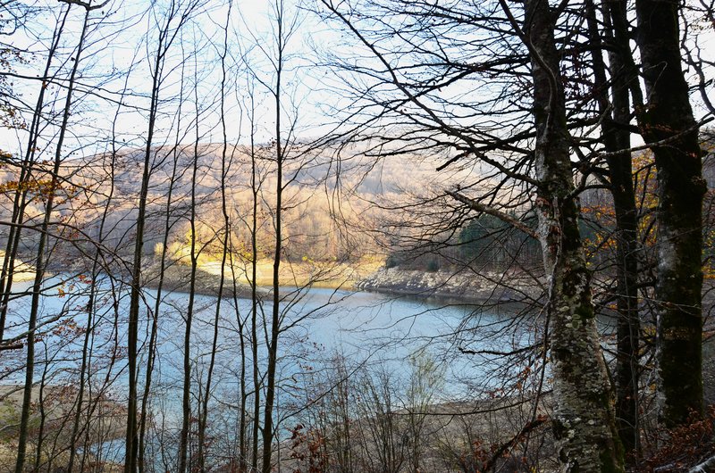 SELVA DE IRATI-14-11-2015-NAVARRA - Paseando por España-1991/2024 (99)