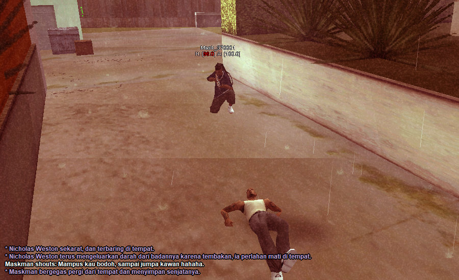 ceka13.png