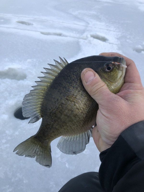 A2B5FF56-0C75-45BB-B413-8A7C248D1D0C