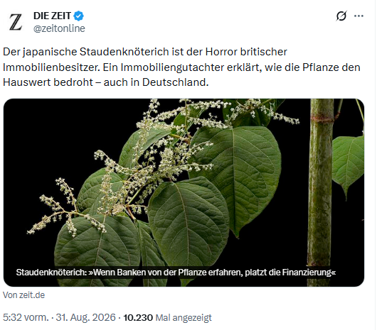 Japanischer Staudenknöterich reduziert Hauswert