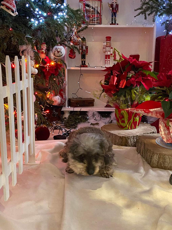 [Image: image000000-147.jpg]