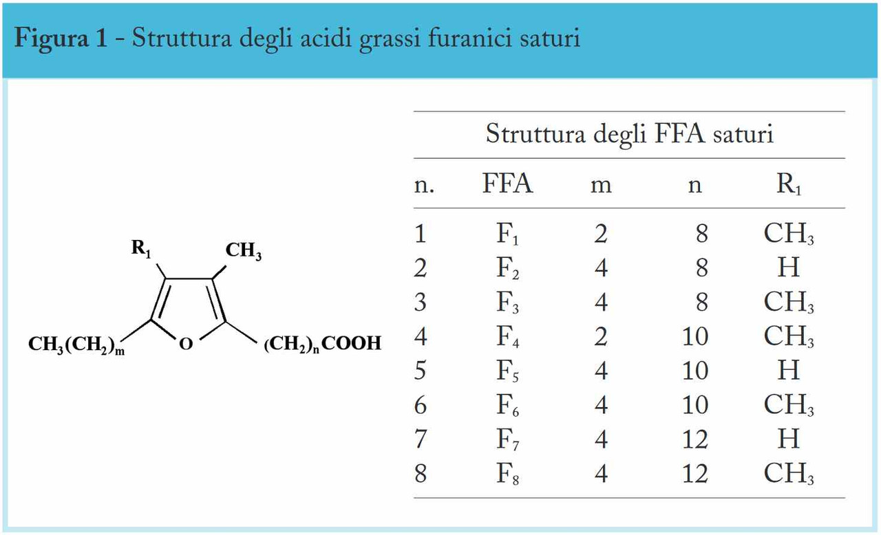 _furanici