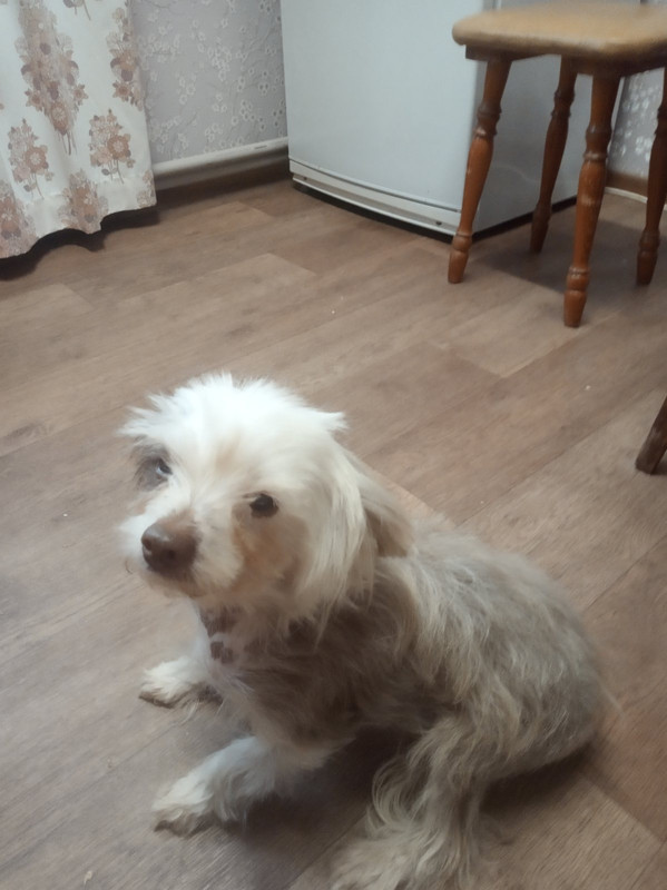 A4004615-794D-4142-85B7-0DFDFC3D2546