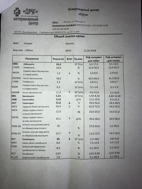 19C6BF5D-E224-40F9-B1F5-3B2A4AFFC7FD
