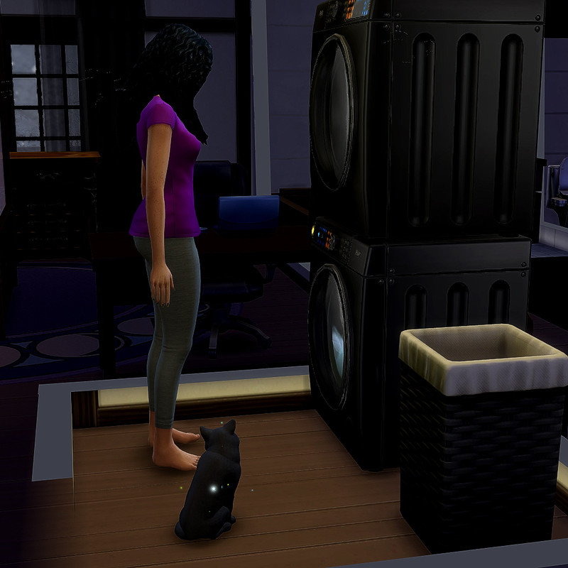 TS4-x64-2021-01-05-03-20-29.jpg