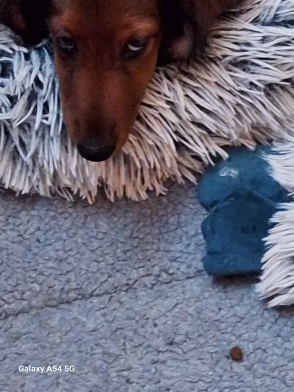 [Image: 20240924-211040.avif]