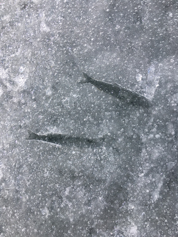 93EDFABF-D3C1-4F06-B320-BAA9A7DBC55E