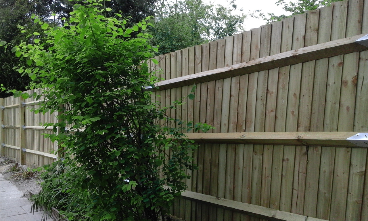 FENCES-046.jpg